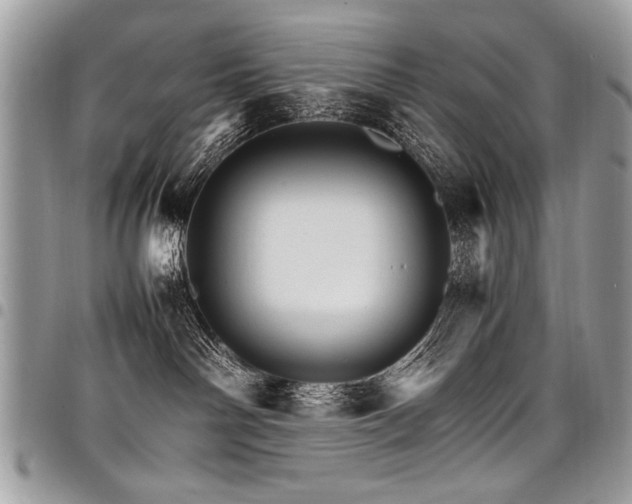 X0000098040142200803281440