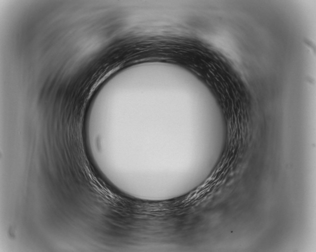 X0000098040146200803281439