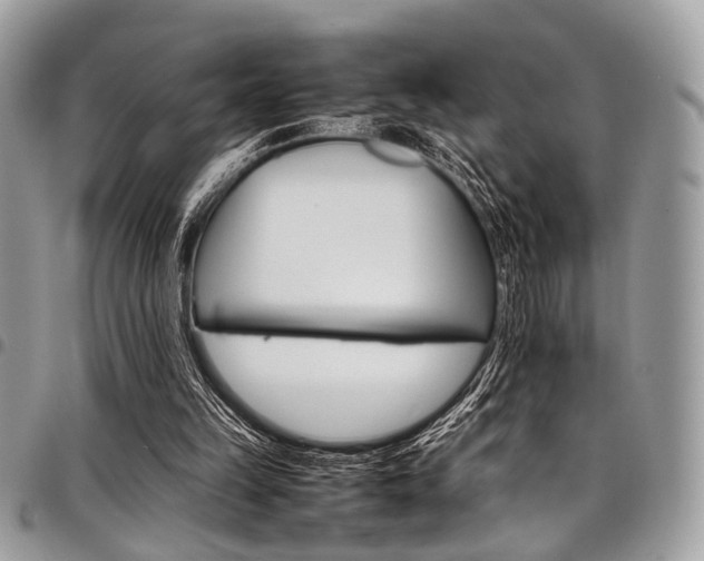 X0000098040149200803281439
