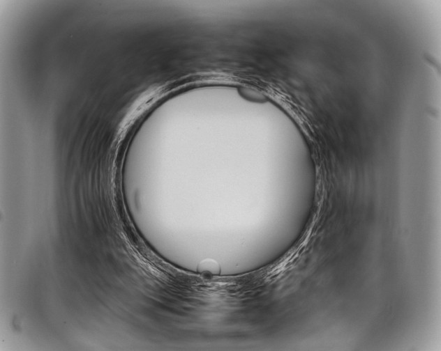 X0000098040151200803281439