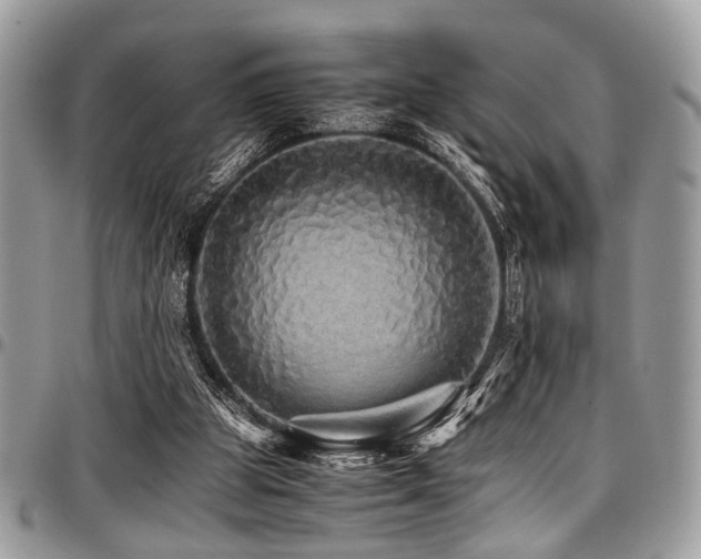 X0000098040153200803281439