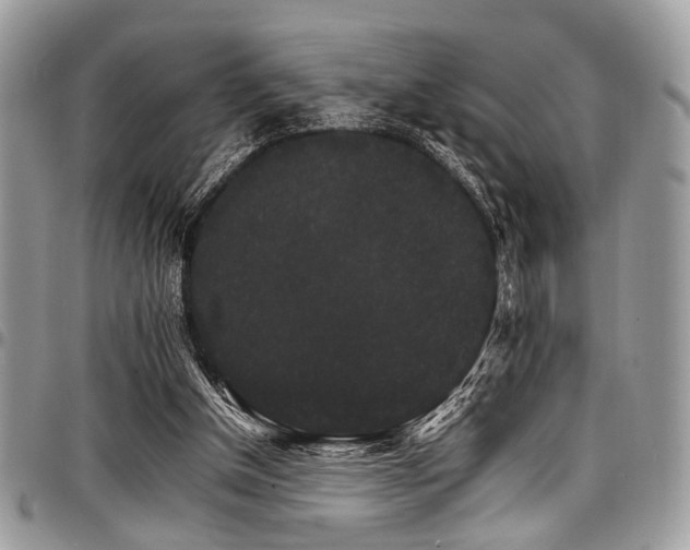 X0000098040154200803281439