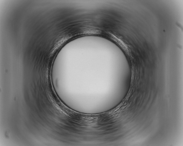 X0000098040155200803281440