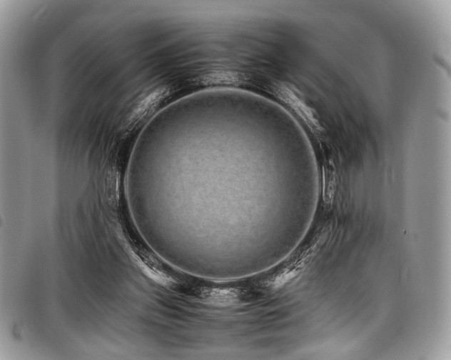 X0000098040157200803281440