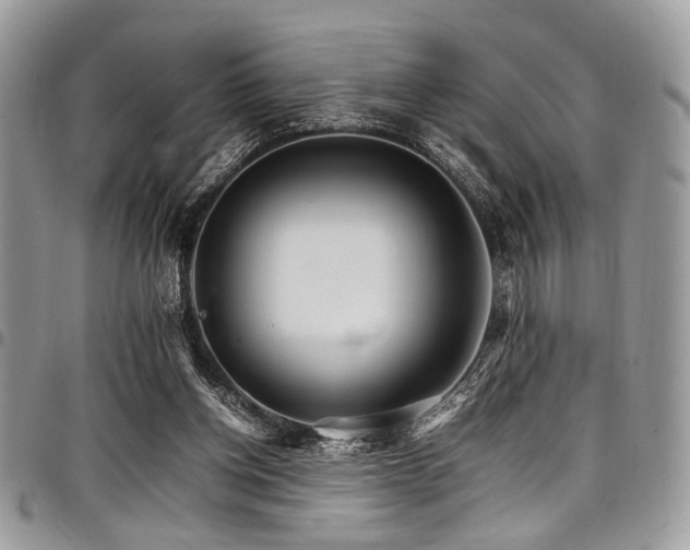 X0000098040158200803281440
