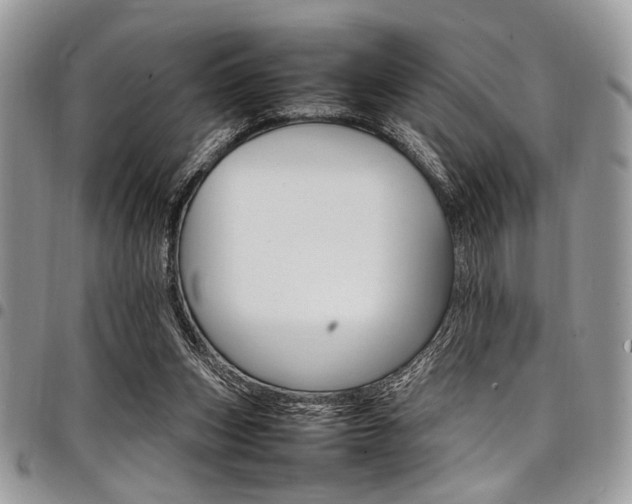X0000098040159200803281440