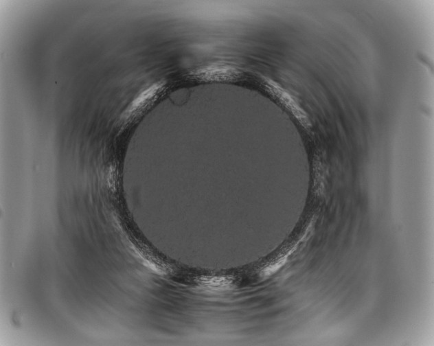 X0000098040161200803281440
