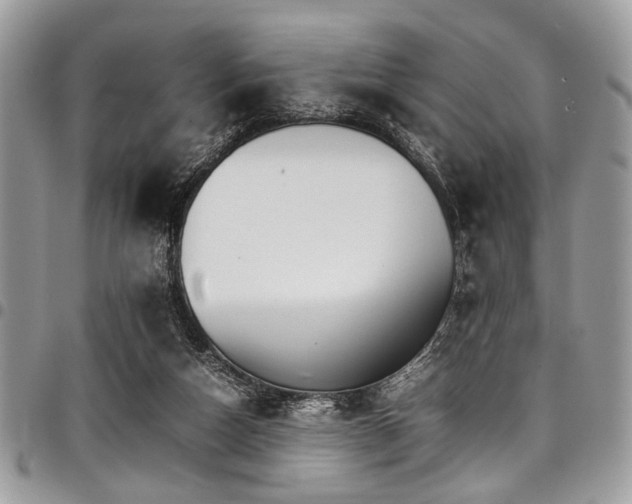 X0000098040162200803281440