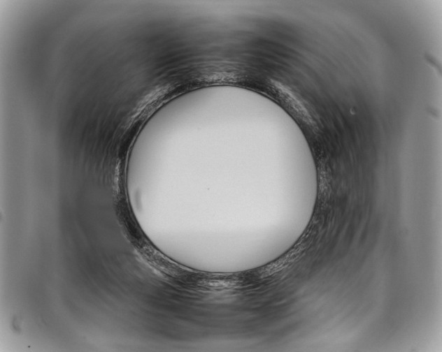 X0000098040163200803281440