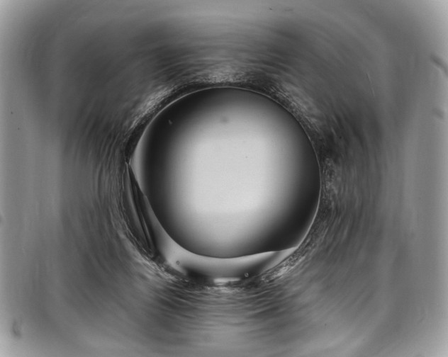 X0000098040164200803281440
