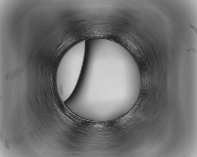 X0000098040166200803281440