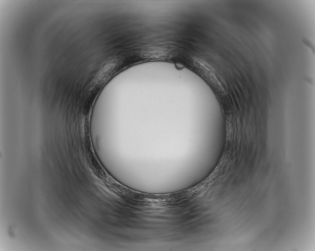 X0000098040167200803281440