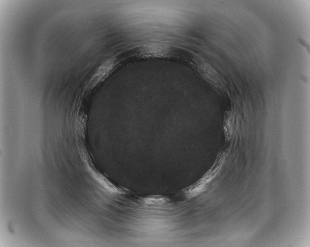 X0000098040168200803281440