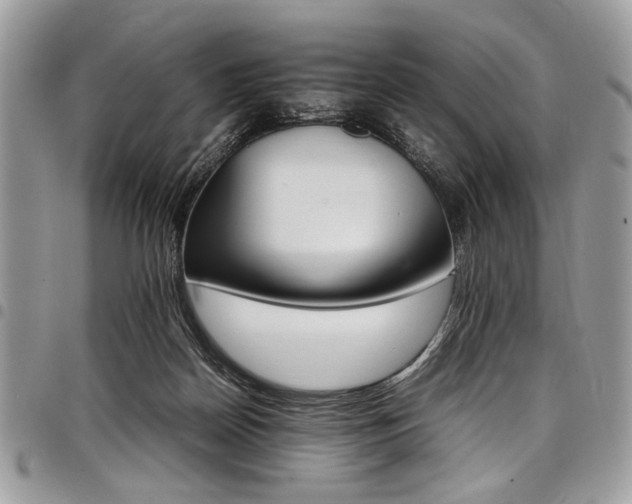 X0000098040170200803281440