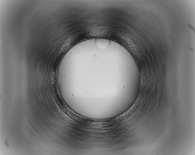 X0000098040171200803281440