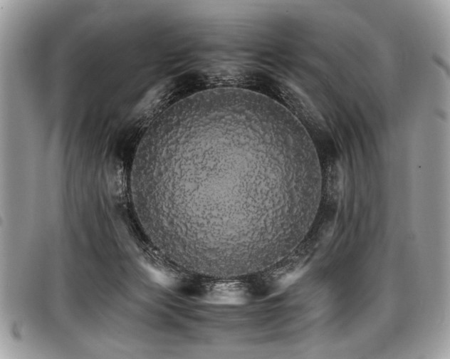 X0000098040173200803281440