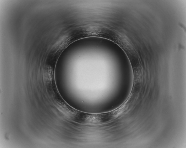 X0000098040174200803281440