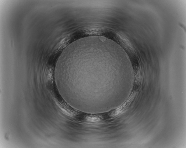 X0000098040175200803281440