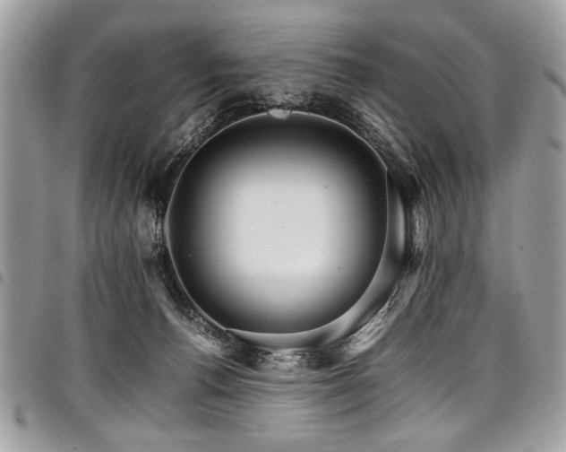 X0000098040176200803281440