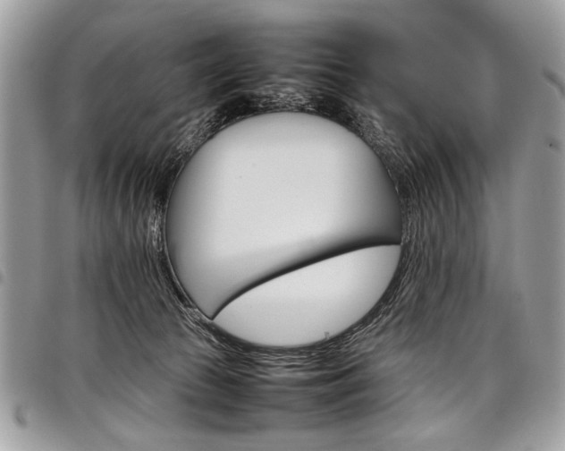 X0000098040177200803281440