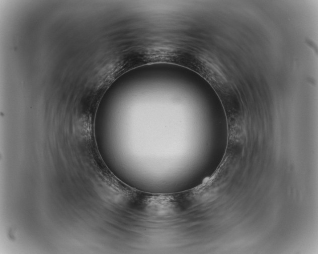X0000098040179200803281440