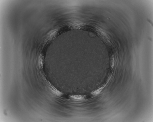 X0000098040181200803281440