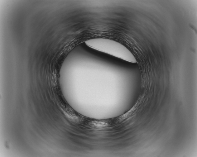 X0000098040183200803281440