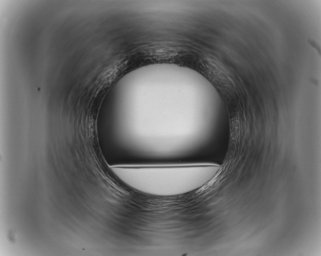 X0000098040184200803281440