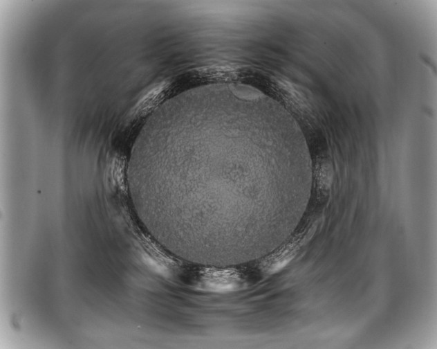 X0000098040185200803281440