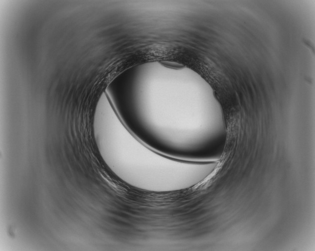X0000098040186200803281440