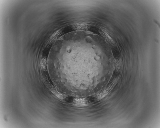 X0000098040189200803281440