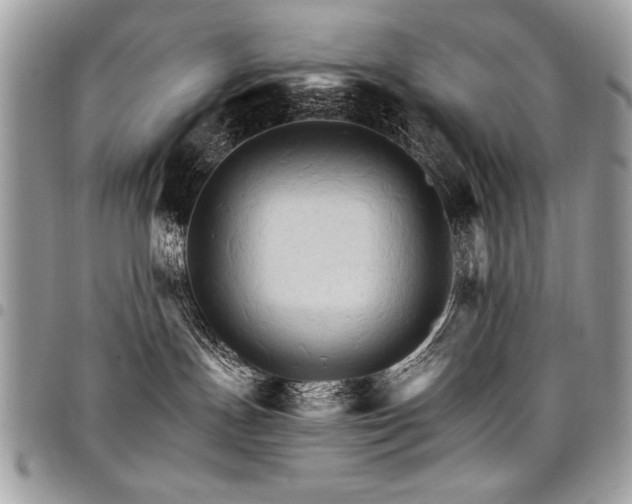 X0000098040191200803281440