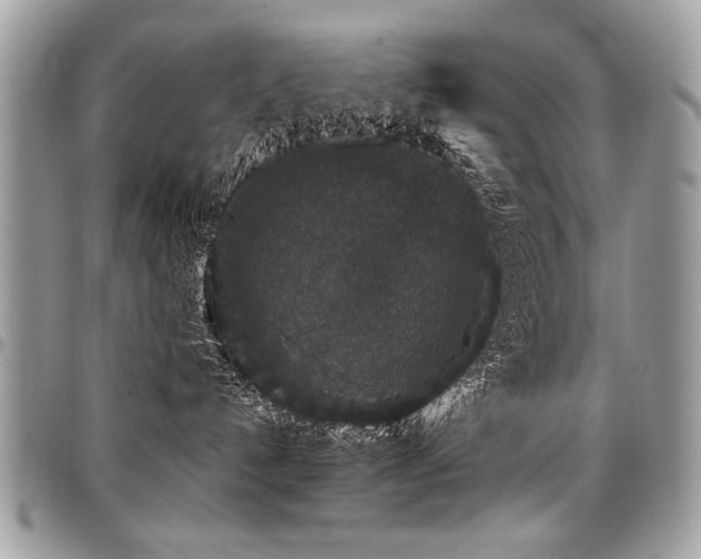 X0000098040192200803281440
