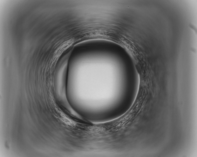 X0000098040193200803281439