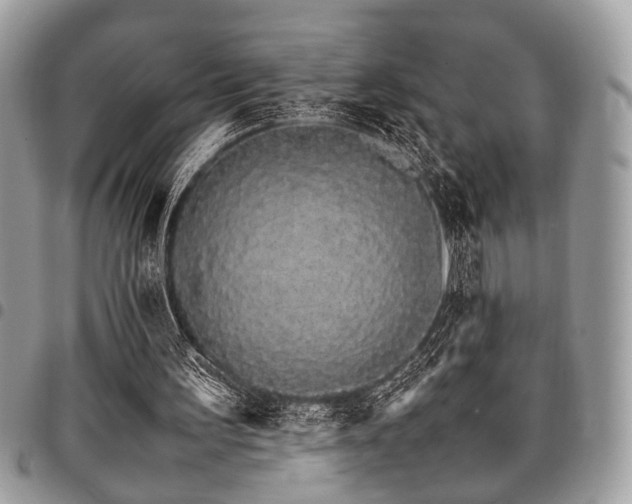 X0000098040195200803281439