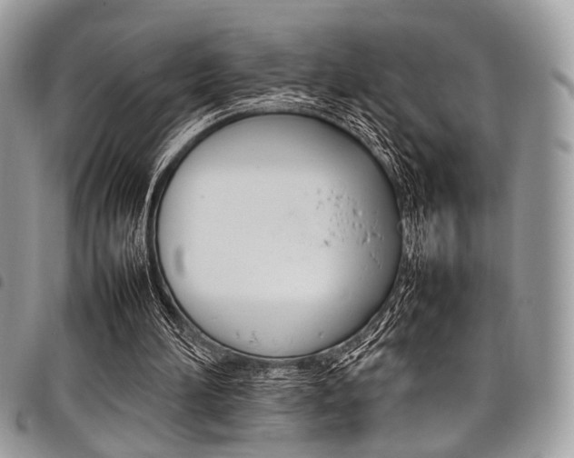 X0000098040196200803281439