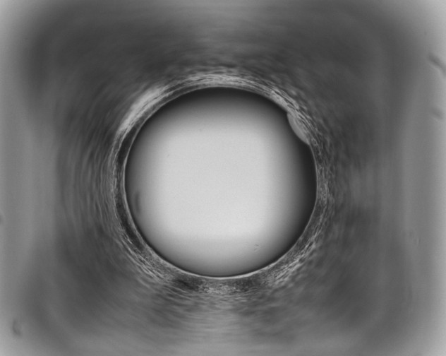 X0000098040199200803281439
