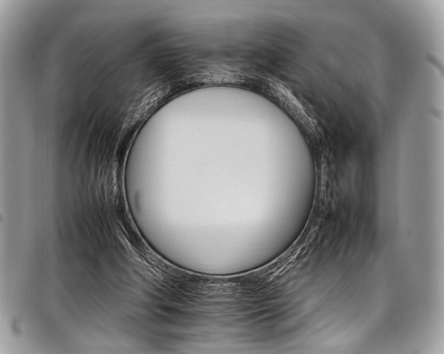 X0000098040202200803281439