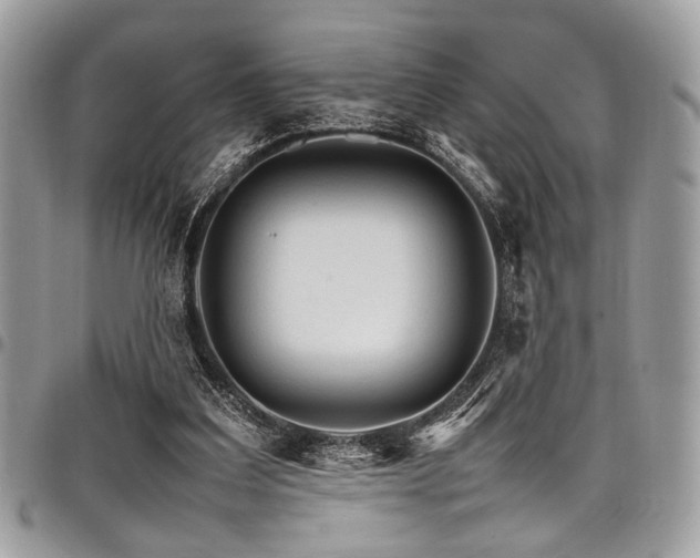 X0000098040203200803281439