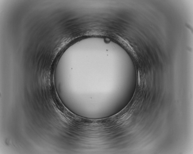 X0000098040204200803281439