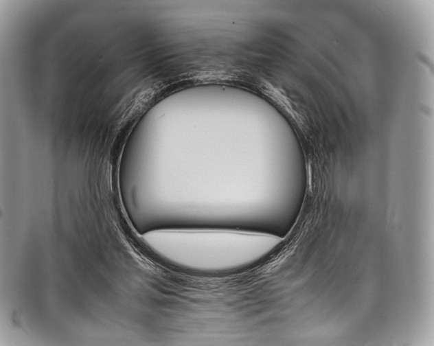 X0000098040205200803281439