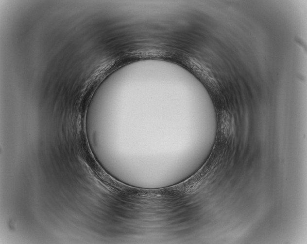 X0000098040206200803281439