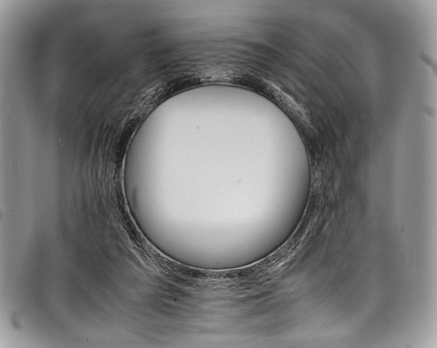 X0000098040209200803281439