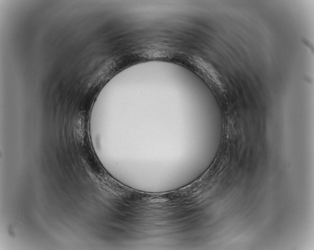 X0000098040210200803281439