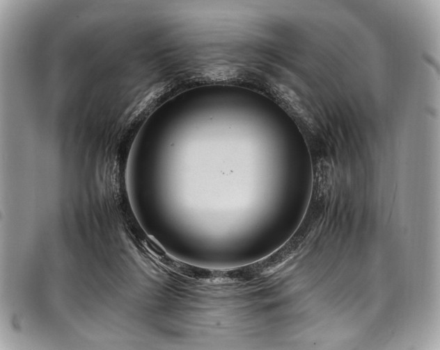 X0000098040212200803281439