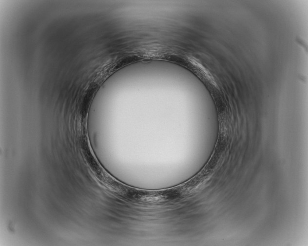 X0000098040213200803281439