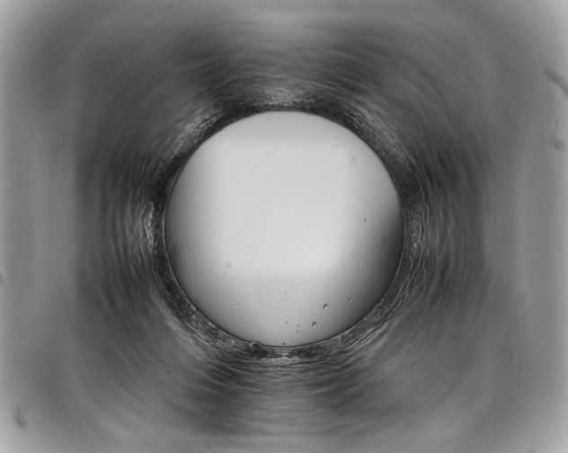 X0000098040216200803281439