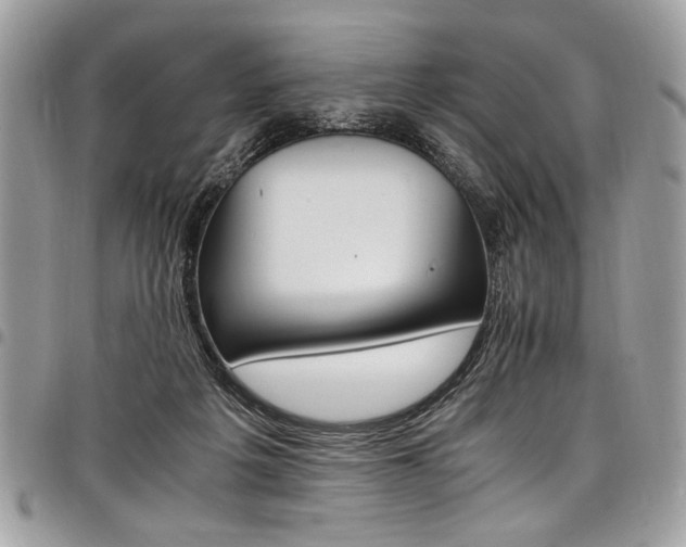 X0000098040217200803281439
