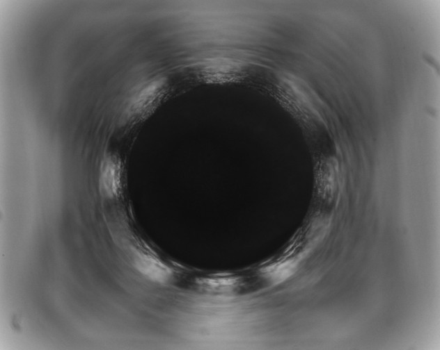 X0000098040219200803281439