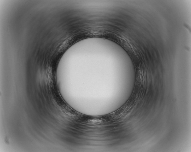 X0000098040220200803281439